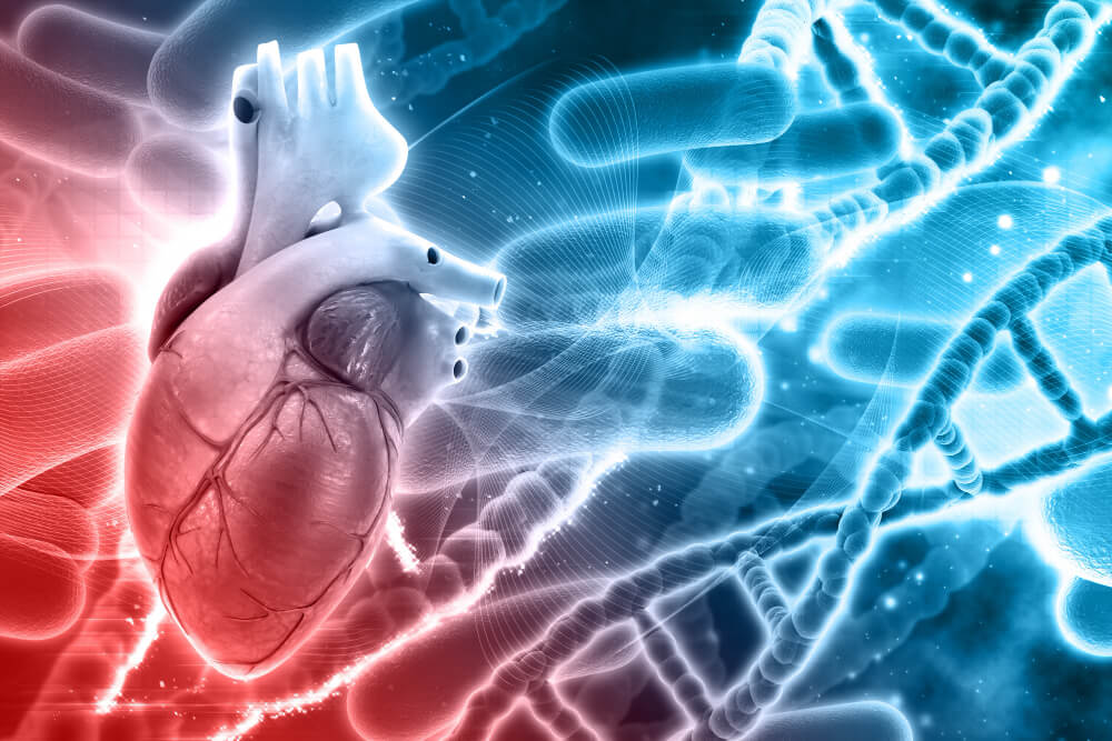 cardiologia-deportiva-lerma.jpg