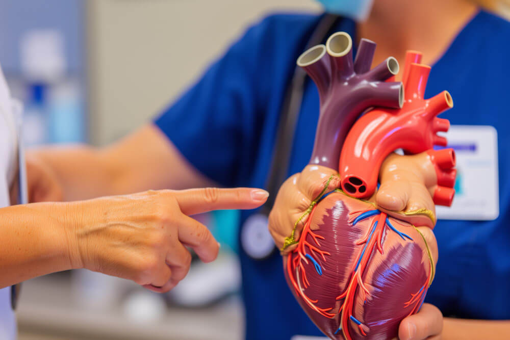 Cuanto Cuesta Una Consulta De Cateterismo Cardiaco Diagnostico Y Terapeutico En Lerma Estado De Mexico