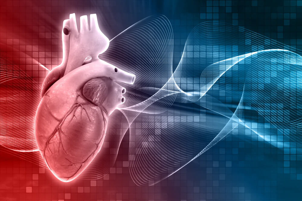 diagnostico-cardiaco-lerma.jpg
