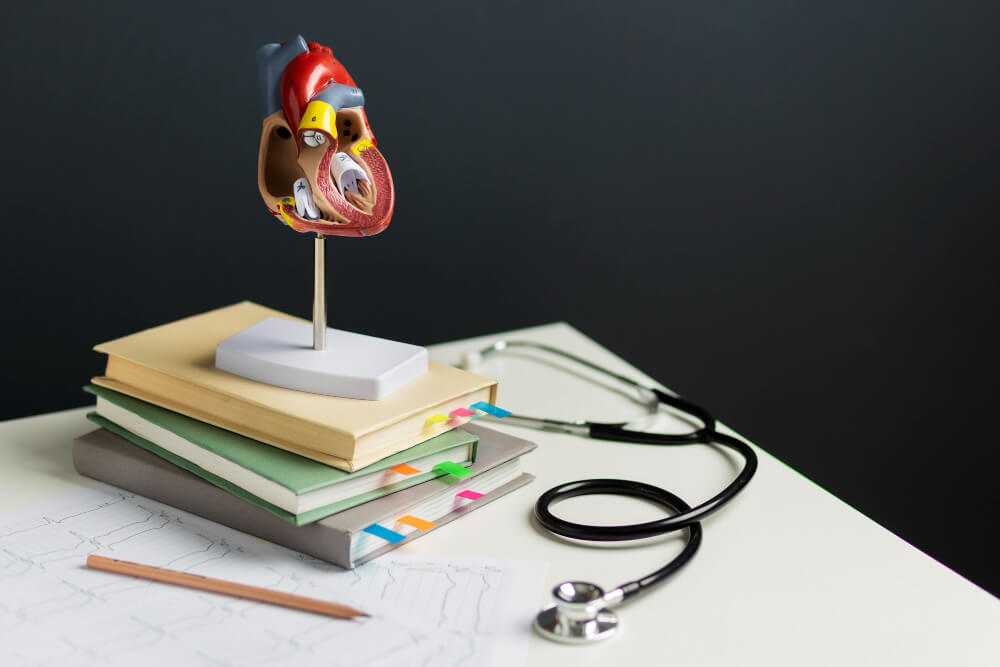 pruebas-cardiologicas-lerma.jpg